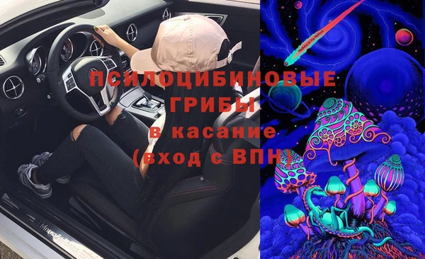 стаф Новодвинск