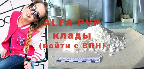 прущие грибы Билибино