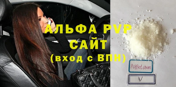 стаф Новодвинск