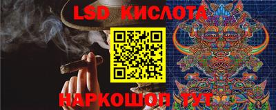 шишки Гусь-Хрустальный
